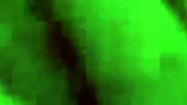 Booty shaker natural big boobs tits brazilian latina amateur first porn video ever