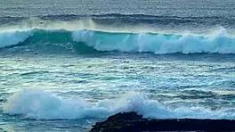 The young secretary with elastic buns seduced her boss and they fucked passionately in the office.