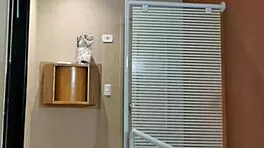 Nicole Romanoff's Betrayal Discovery