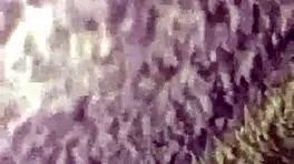 B� licks cousin's pussy while she's sleeping! Wake up to the kiss!