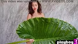 all natural petite asian teen kit rysha undresses to reveal her perfect body, small tits, and soft ass