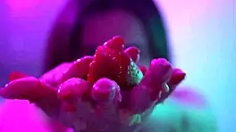 i know it's wrong to mix money and food, but this banana cake tasted amazing after my sexual encounter