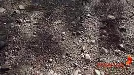 i give a messy deepthroat to a stranger in the woods until a massive facial hits me