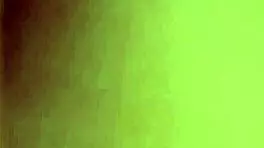 Teen Craves Huge Cock and Gets Nasty DoggyStyle in Hardcore Action