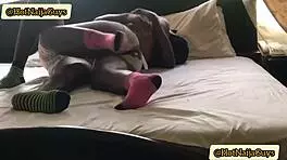 harveyxbush sucking big black cock