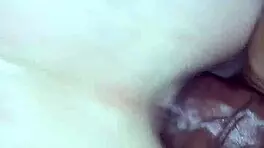 Trans Assfucking Cock