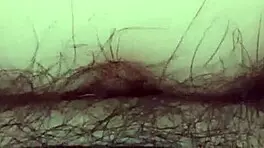 i enjoy close-up sex with my teen girlfriend