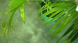 Step brother drills teen 18+ sister’s tight ass in bed