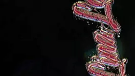 Nervous teen shows shaved pussy naked online