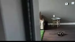 avalon heart sucks and fucks her stepbrother pov, wow it's intense.