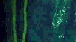 uhh, bondage teen 18+ with big tits gettin’ anal hardcore first time