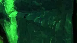 uhh, bondage teen 18+ with big tits gettin’ anal hardcore first time