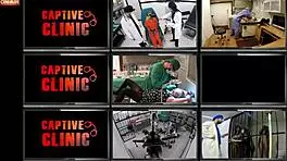 Brooklyn Rossi Receives Diagnosis For Sexual Deviance At Bondage Clinic