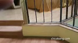 Girls From A Bachelorette Party Hire Me For A Special Service