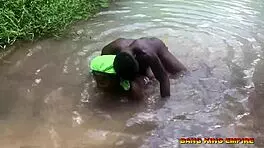 Bang King Empire's Wild Ritual Ride