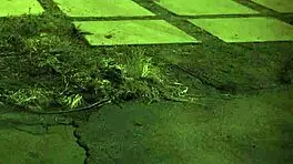 arrested bondage bdsm and public sex make fuck doll cum in outdoor hardcore teen domination 😈