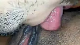 chupandole el coño bien rico a mi mujer