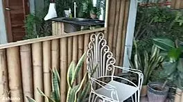 Asian teen's first interracial fuck