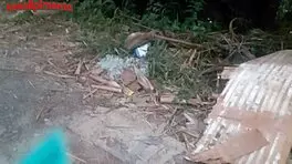 Brazilian Slum Girl Gets Assfucked and Cummed On