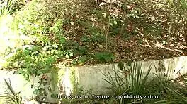 Teen redhead bangs stranger