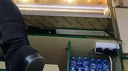 Nataly Shy First Time Ever Flashing At New Job!