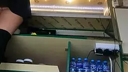 Nataly Shy First Time Ever Flashing At New Job!