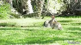 slutty teen lesbian fingers and toys her nun stepsister, leading to 69ing and face sitting