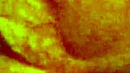 Homemade couple explores big clit with monster cock