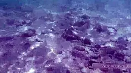 Public Exhibitionist German Teen 18+ VeronikaVonk Shows Big Boobs by Sea!