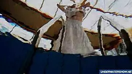 Amazing hairy underwater show by marketa in bikini at the pool 😍