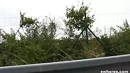 Low-budget sexual service in the car, bent over.