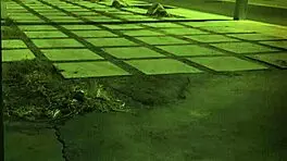 hot euro teen's first anal threesome, bound and dominated in extreme bdsm