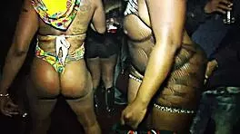 Honeycomb Hideout 1 Adventure