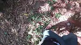 I drag slut into woods for blowjob