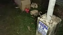 This asian girl with no home gets shaved, deepthroats, and fucked nicely on the street 😊