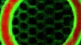 Sweet Young Teen Pussy Licked by Mature Charlee Chase at Hooters