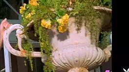 WOW, look at this BEAUTIFUL big tits model RIP her clothes and POSE with her AMAZING boobs!