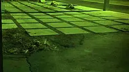 milf in tape bondage domination