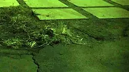 I can’t even, like, handle these mature chicks banging us teen 18+s with strapons!