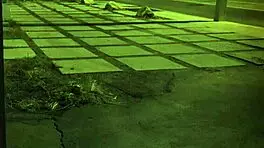 Huge teen bound in hardcore domination hd