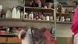 Damn! Guy Drills Young 18+ Girl Hard in Ass in Father’s Garage!