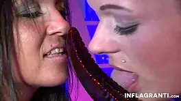 german lesbians kiss and lick shaved pussy in public bar with dildo