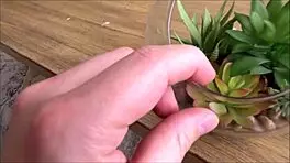 Tiny Asian Teen 18+ Step Sister Shares Room with Brother! Lulu Chu in Family Therapy Preview!