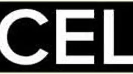 couple getting rough in bdsm fucking 😈