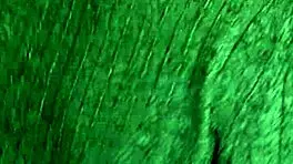 Candie Cross Kneels For A Facial Treatment Session