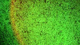 Teen feels sexy in lingerie, dancing naked with natural tits