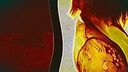 wow, threesome with perrapunk is so hot right now