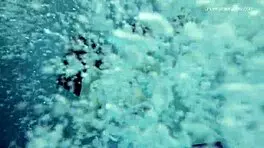 anna netrebko and lada poleshuk underwater lesbos