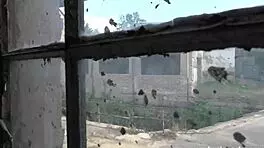 Struggling Babe Caught in Intense Lesbian Bondage Play With Toys