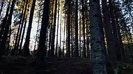 get lost in wonderlands with blue-eyed babe deepthroating in public 😘